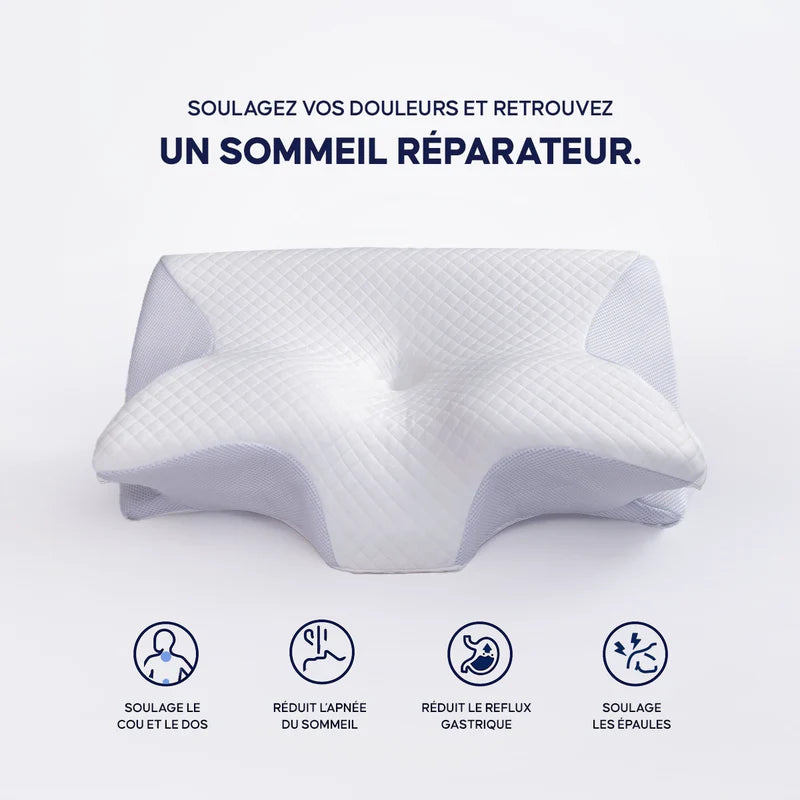 Ergonomic Cervical Memory Foam Pillow